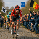 category-The E3 Harelbeke Quiz-icon